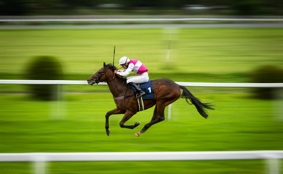 Jockey during horse race on his horse going towards finish line. Traditional European sport.