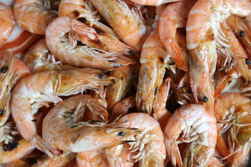 close up view of fried shrimps on a plate.