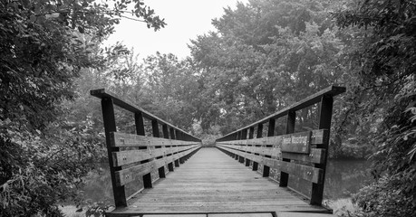 grayscale wooden bridge on the river