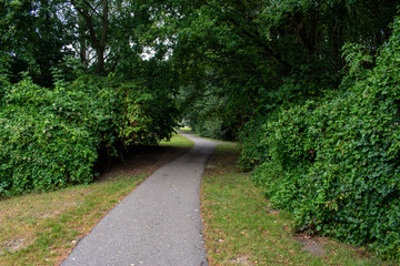 A walking road from between the green trees