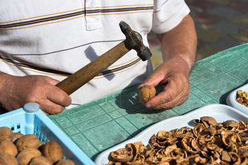 Grandpa on the street cleans the nuts. On the table are trays of peeled nuts, with shells, and whole nuts. Lesson on self-isolation cleaning nuts.