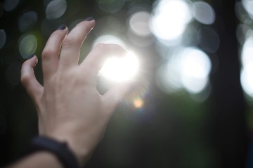 Hand catch the sun light on green background of trees