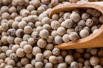 white peppercorns seed on white acrylic background