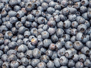 blueberries close up background texture