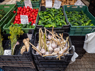 fresh vegetables in the market