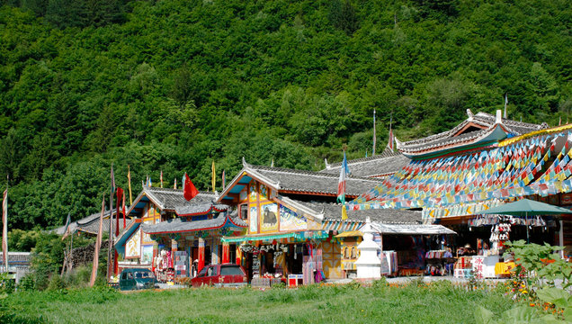 Tibetan stockade village on the green background