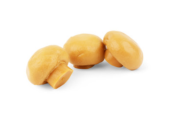 Fresh champignon mushrooms isolated on white.