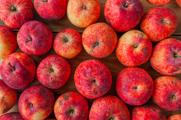 many red small garden apples with damage