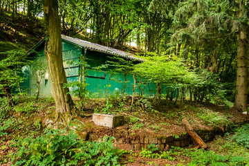 Green building on a walking path in  a German forest. 