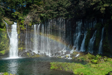 Fototapeta premium 虹のかかった白糸の滝