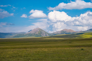 Beautiful green mountain valley with blue cloudy sky on background. Spring farm field landscape. Outdoor landscape. Summer nature landscape. Rural scenery. Shalkode valley, Kazakhstan.