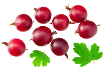 red gooseberry with leaves isolated on white background. Top view.