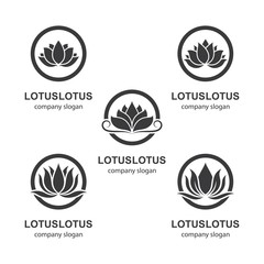 Lotus logo template vector icon