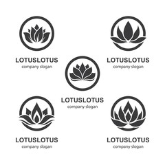 Lotus logo template vector icon