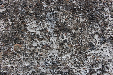 roche