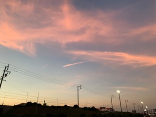 Fototapeta premium power lines at sunset