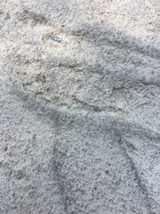 Concrate floor texture and wall background 