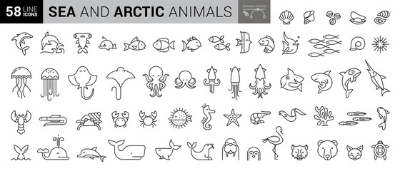 Sea creatures line icon set. Set of line icons on white background. Maritime concept. Shell, turtle, fish, whale. Vector illustration can be used for topics like sea, ocean