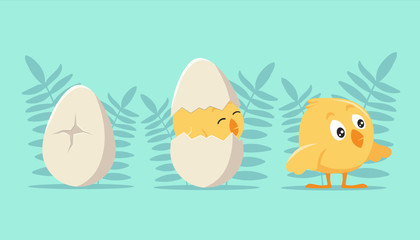 Development steps from an egg to chick. Cracked shell and emerging yellow cartoon cub joyful first birthday celebration cute young hen breaking free fluffy natural vector fun.