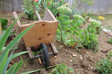 la brouette du jardin
