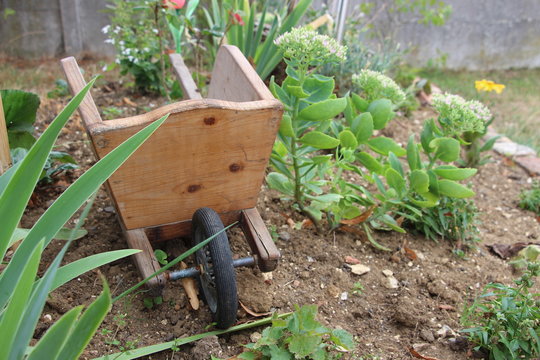 la brouette du jardin
