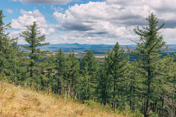 Fototapeta na wymiar Panoramic landscape of taiga forest and a low mountain or hill. Forests of the Urals and Siberia in Russia