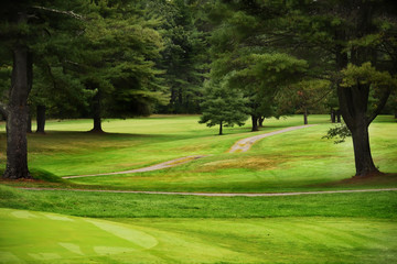 Green golf courses and pine trees.