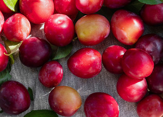 Ripe juicy plums as background.