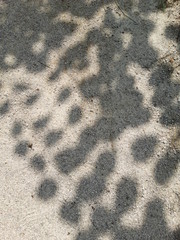 dots shadow and soil texture