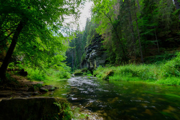 Fototapeta na wymiar Saxon Switzerland National Park bohemian switzerland fiume Kamenice