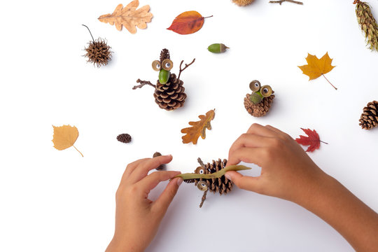 Kids Hands Making Pine Cone Craft, DIY, White Background, Top View