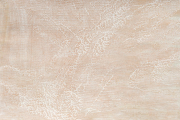 Fototapeta premium beige painted background texture