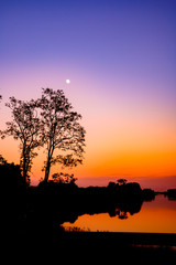 Beautiful summer sunset at the lake with gradient sky, silhuette of trees, moon and water with reflection.