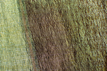 Closeup of textile in earth colors