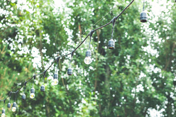 Light bulb decor in outdoor party.
