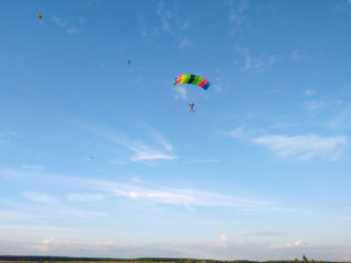 Fototapeta na wymiar A skydiver with a bright multicolored parachute flies against the background of a blue sky with white sparse clouds