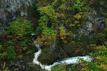 紅葉の梵字川渓谷