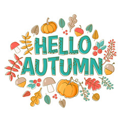 Hello autumn banner in frame autumn leaves, acorns, pumpkins and berries. Vector template with lettering isolated on white background.