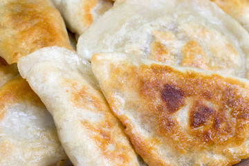 fried dumplings closeup selective focus