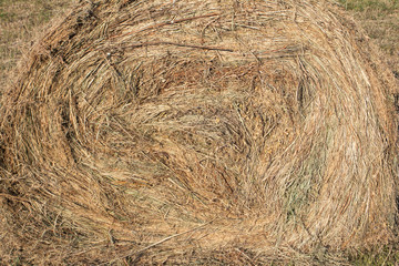 Closeup of golden hay roll circular haystack showing straw texture
