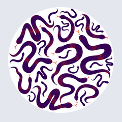 Obraz premium Snakes round composition in a circle vector design illustration, serpent horror and disgusting creatures.