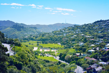 Fototapeta na wymiar Green valley surrounded by slopes covered with cosy suburbuan houses in Wellington, New Zealand.