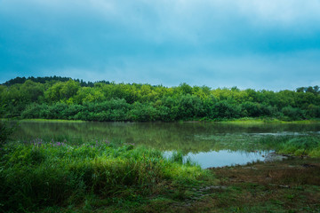 Fototapeta premium Calm river with forest on the other bank 