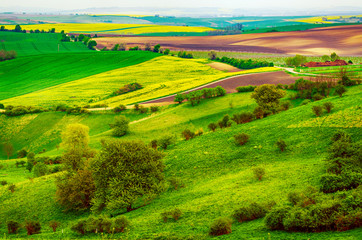 Naklejka premium Rural spring landscape