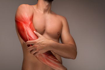 Man's arm pain, human arm anatomy