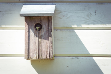 Un oiseau dans un nichoir