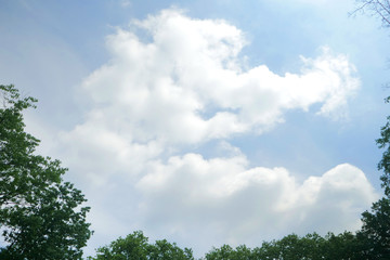 landscape of sky ,clouds, and tree