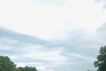 Obraz premium landscape of sky ,clouds, and tree