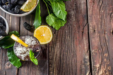 Mulberry lemonade or mojito cocktail