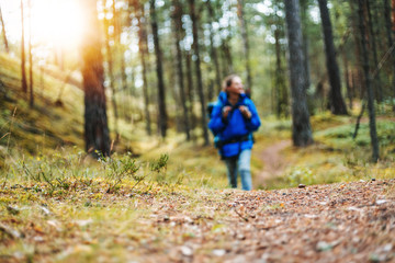 Wild tourism and adventure in real nature concept, blurred figure of woman traveler with big backpack in pine forest.